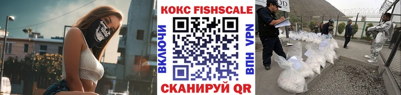 Кокаин FishScale  Купить закладки  Кирсанов 