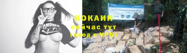 гашик Семикаракорск