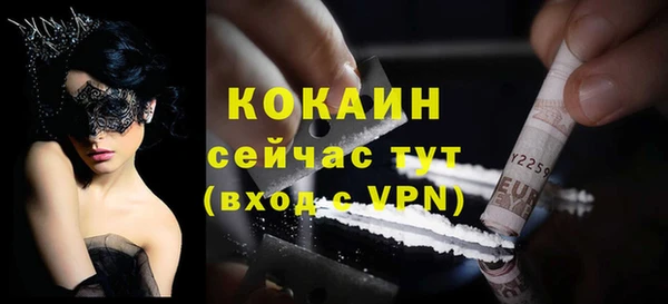 стаф Семилуки