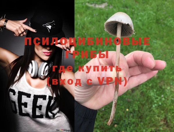 стаф Семилуки