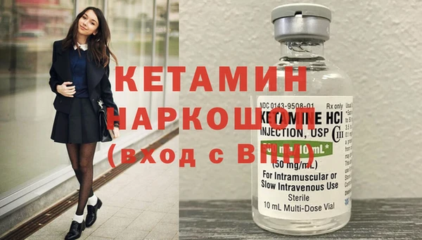 стаф Семилуки