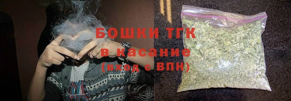 стаф Семилуки