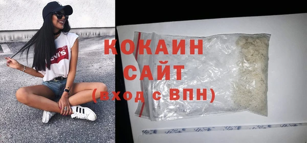 стаф Семилуки