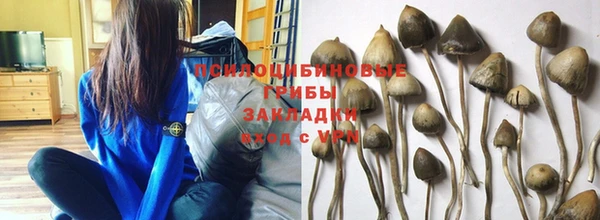 гашик Семикаракорск