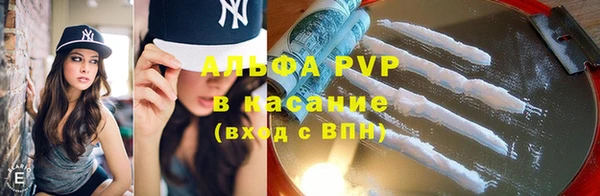 стаф Семилуки