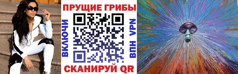 Купить закладки  Кирсанов  Галлюциногенные грибы Magic Shrooms 